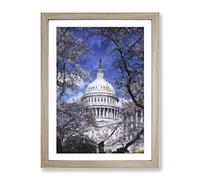 Capitol Hill & Cherry Blossom Tree Painting Modern Framed Wall Art Print, Ready to Hang Picture for Living Room Bedroom Home Office Décor, Oak A4 (34 x 25 cm)