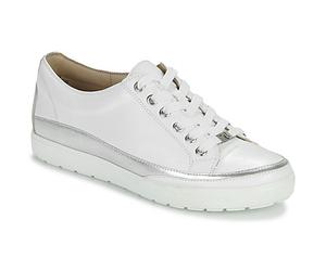 Caprice Shoes (Trainers) BUSCETI in White 3.5