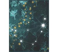 CAPRICORN: Daily Horoscope Astrological Sun Sign Gift Journal Diary