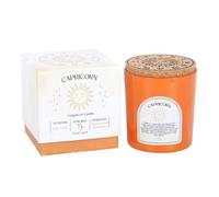 Capricorn Sandalwood & Jasmine Gemstone Zodiac Candle