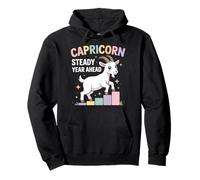 Capricorn Steady Year Ahead Zodiac Goat Steps Art Pullover Hoodie