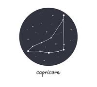 Capricorn Sweatshirt - White - L - White