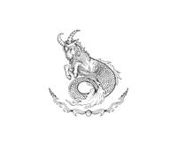 Capricorn Tattoo Stickers Herbal Semi-permanent Waterproof And Sweat-proof Long-lasting Female Pattern Simulation Male Tattoo