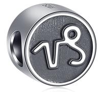 Capricorn Zodiac Sign Charms fit Pandora Christmas Bracelet, Antique Sterling Silver Capricornus Horoscope Beads, 12 Constellation Astrology Charm, Gifts for Best Friend/Xmas/New Year