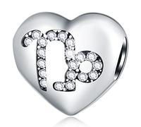 Capricorn Zodiac Sign Charms, fits Pandora Birthday Bracelet, 925 Sterling Silver Heart Beads I Love My Constellation with CZ, Cap Star Horoscope Gifts for Christmas/Friend