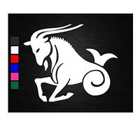 Capricorn zodiac star signs birthday vinyl decal sticker car van wall window bedroom (15cm)