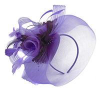 Caprilite Purple Feather Flower Fascinator Hat Veil Net Headband Clip Ascot Derby Races Wedding â€¦ (All Purple)