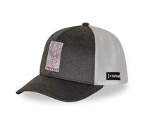 Capslab Assassin´s Creed Black Flag Cap