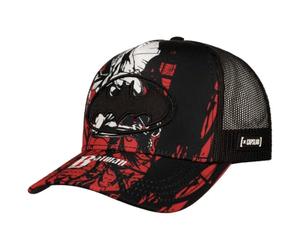 Capslab DC Comics Trucker Cap Women/Men - Baseball mesh Snapback, with Peak All-Season Spring Summer Autumn Winter - One Size Mixed Colours