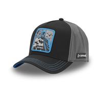 CAPSLAB HFT Trucker Cap Freegun DC COMICS Batman Robin Meme Basecap Cap
