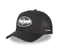 CAPSLAB HFT Trucker Cap Freegun DC COMICS Batman Robin Meme Basecap Cap