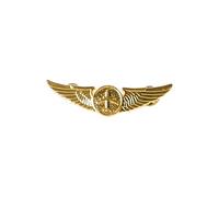 Captain Chest Badge Aviation Wing Aviator Pin Metal Lapel Flight Pilot Airplane Wings Captain Chest Uniform Shirt Lapel