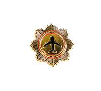 Captain Chest Badge Aviation Wing Aviator Pin Metal Lapel Flight Pilot Airplane Wings Captain Chest Uniform Shirt Lapel