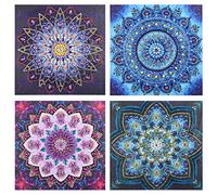 CaptainCrafts 4PCS DIY 5D Diamond Painting Kits Special Shaped Drill Crystal Rhinestones Mandala Flowers Embroidery Paintings Arts Craft Wall