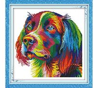 CaptainCrafts Cross Stitch Kits, Dog Counted Cross Stitch Unpreprinted Fabric Cross Stitch DMC DIY Art Embroidery Kits (Unpreprinted 14CT, Rainbow Dog)