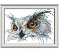 CaptainCrafts Cross Stitch Kits, Owl Counted Cross Stitch Unpreprinted Fabric Cross Stitch DMC DIY Art Embroidery Kits (Unpreprinted 14CT, Owl)