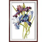 CaptainCrafts Cross Stitch Kits, Stamped Cross Stitch Preprinted Fabric Cross Stitch Adults Embroidery Kits (Preprinted 11CT, Iris Flower)