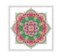 CaptainCrafts Cross Stitch Kits, Stamped Cross Stitch Preprinted Fabric Cross Stitch DIY Art Embroidery Kits Home House Decor (Preprinted 11CT, National Flowers Customs)