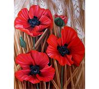 CaptainCrafts DIY Paint by Numbers for Adults Beginners Oil Painting by Numbers Kits Linen Canvas Home Art Wall House Decoration 16x20Inch (Fresh Red Poppies Flowers, Frameless)