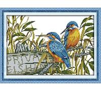 CaptainCrafts New Stamped Cross Stitch Kits Pre-printed 11CT Fabric DMC DIY Art Embroidery kits Needlework Crafts Love Blue Kingfisher (Stamped)