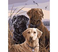 CaptainCrafts Paint by Number DIY Oil Painting Paint by Numbers Kits for Adults Beginner Canvas Acrylic Arts Craft for Home Wall Decor Drawing 16x20 Inch (Frameless, African Lion Dogs Three Dogs)