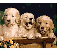 CaptainCrafts Paint by Number DIY Oil Painting Paint by Numbers Kits for Adults Beginner Canvas Acrylic Arts Craft for Home Wall Decor Drawing 16x20 Inch (Frameless, Cute Three Brothers Dog)