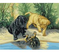 CaptainCrafts Paint by Number DIY Oil Painting Paint by Numbers Kits for Adults Beginner Canvas Acrylic Arts Craft for Home Wall Decor Drawing 16x20 Inch (with Frame, Dogs and Ducks)
