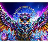 CaptainCrafts Paint by Numbers for Adults, Paint by Number DIY Oil Painting Paint by Number Kits Linen Canvas 16x20 Inch Wall Art House Decor Gifts (Frameless, Owl)
