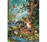 CaptainCrafts Paint by Numbers for Adults, Paint by Numbers DIY Oil Painting Linen Canvas 16x20 Inch Wall Art House Decor Gifts (Frameless, Forest Animals Extended Family)