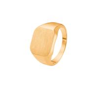 Captena Luff Ring Stainless Steel DU30025-66 - Man - Stainless Steel Gold 66