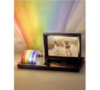 Capti Rainbow Bridge Light and Dog Picture Frame - Radiant Dog Memorial Gifts for Loss of Dog, Rainbow Glass Pet Memorial, Heartwarming Led Light, for Sympathy, Bereavement, Grief and Loss of A Pet