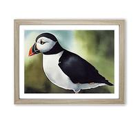 Captivating Puffin Bird WHT Framed Print | A4 Oak Framed Wall Art | Ready to Hang | Modern Nature Picture | Living Room Bedroom Lounge Office