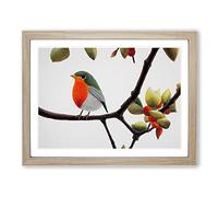 Captivating Robin Bird Framed Print | A3 Oak Framed Wall Art | Ready to Hang | Modern Animal Picture | Living Room Bedroom Lounge Office