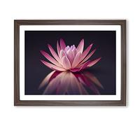 Captivating Water Lily Flower H1022 Framed Print for Living Room Bedroom Home Office Décor, Wall Art Picture Ready to Hang, Walnut A4 Frame (34 x 25 cm)