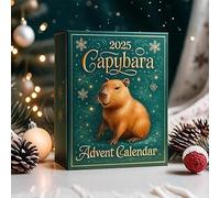 Capybara Advent Calendar 2025, 2D Acrylic Capybaras Ornaments Christmas Decor, 24 Days Christmas Advent Countdown Calendar for Xmas Tree Home Decor (A)