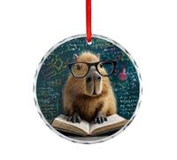 Capybara Book Chemistry Science Christmas Ornaments Crystal Glass Hanging Pendant Craft Gifts for Christmas Tree Decoration