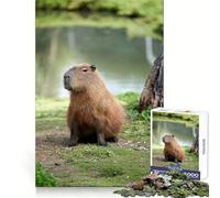 Capybara by The Water Puzzles for Adults 1000 Puzzles Cognitive Workout Time Well Spent No Rough Edges Merry Gift (38x26cm)