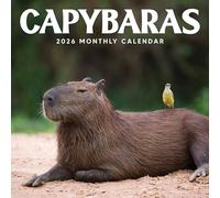 Capybara Calendar 2026 | 12" x 24" Funny Animals Capybaras 12 Month | Marble City Press | Quirky Wildlife, Pet Lovers, Cute Animal Photography | 2026-2027