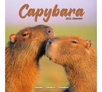 Capybara 2026 Calendar | Square Wall Calendar | Animal Gift | Plastic Free Packaging | by Avonside Publishing