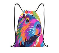 Capybara Colorful Sport Sack Durable Swimming Bag Portable Sports Backpack For Trainer Swim Students 36X42Cm