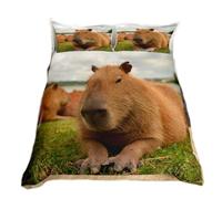 Capybara Comforter Cover Single Size Funny Capybara Animals Duvet Cover for Kids Boys Girls Adults,Cute Capybara Bedding Set 3D Wild Animal Theme Bedroom Decor Soft Cozy Quilt Cover 1 Pillowcase