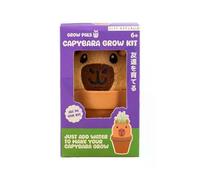 Capybara Grow Pal - Grow Your Own Grass Plant Kit, Cute Animal Planter Desk Decoration, Easy Indoor Gardening Gift for Kids & Adults