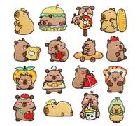 Capybara Iron on Embroidery Patches - 16pcs Aesthetic Animal Patch Set | DIY Badge Stickers for Jacket Backpack Dress Clothes Jeans Crafts for Men for