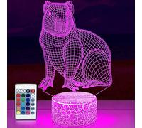 Capybara Night Light for Kids Cute Capybara Theme Illusion Lamp for Party with Remote and Touch Control 16 Colors Changing Table Bedroom Decor Nightlight Birthday Christmas Gifts for Boys /Girls