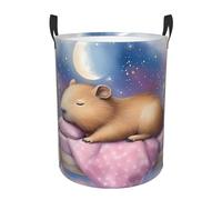 Capybara On The Moon Laundry Basket Hamper Kids Storage Basket Toy Organizer Bin For Bedroom, Bathroom, College Dorms, Boys And Girls
