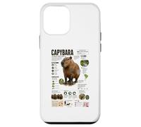 Capybara The Worlds Largest Rodent Facts Case for iPhone 12 mini