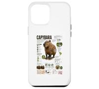 Capybara The Worlds Largest Rodent Facts Case for iPhone 12 Pro Max