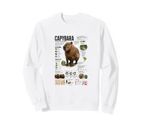 Capybara The Worlds Largest Rodent Facts Sweatshirt
