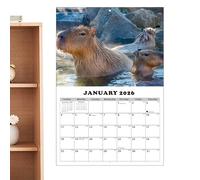 Capybara Wall Calendar - A3 Monthly Planner - Personal Time Management | 2026 English Capybara Wall Calendar, Julian Dates, Large Writing Squares | Use in Home Office Classroom