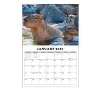 Capybara Wall Calendar, Monthly Time Management Chart, 2026-2027 13 Month Calendar with Julian Dates, Paper Wall Hanging Organizer for Home School Office Use, Cute Schedule Planner